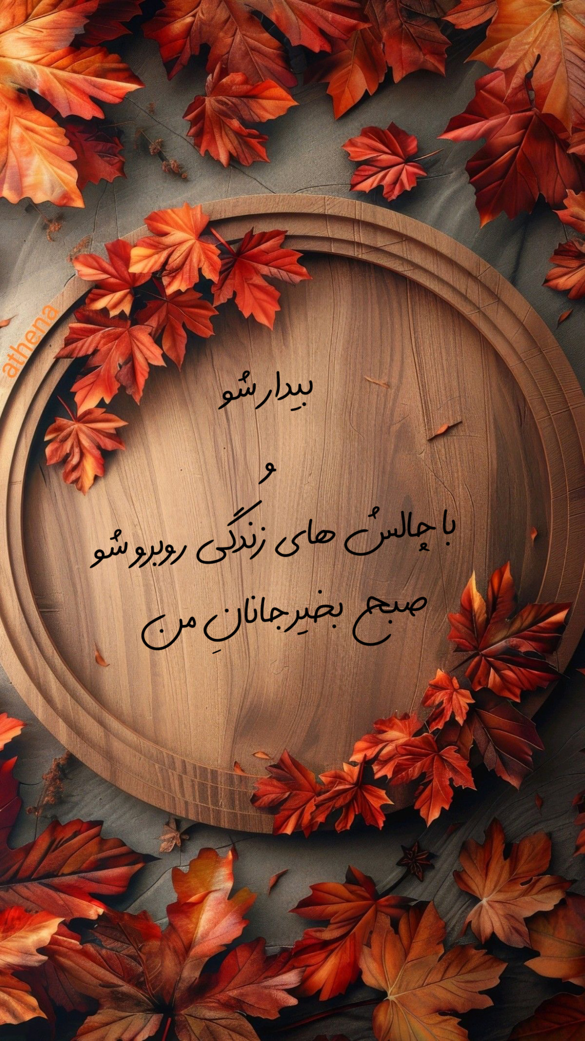 صبح بخیر284