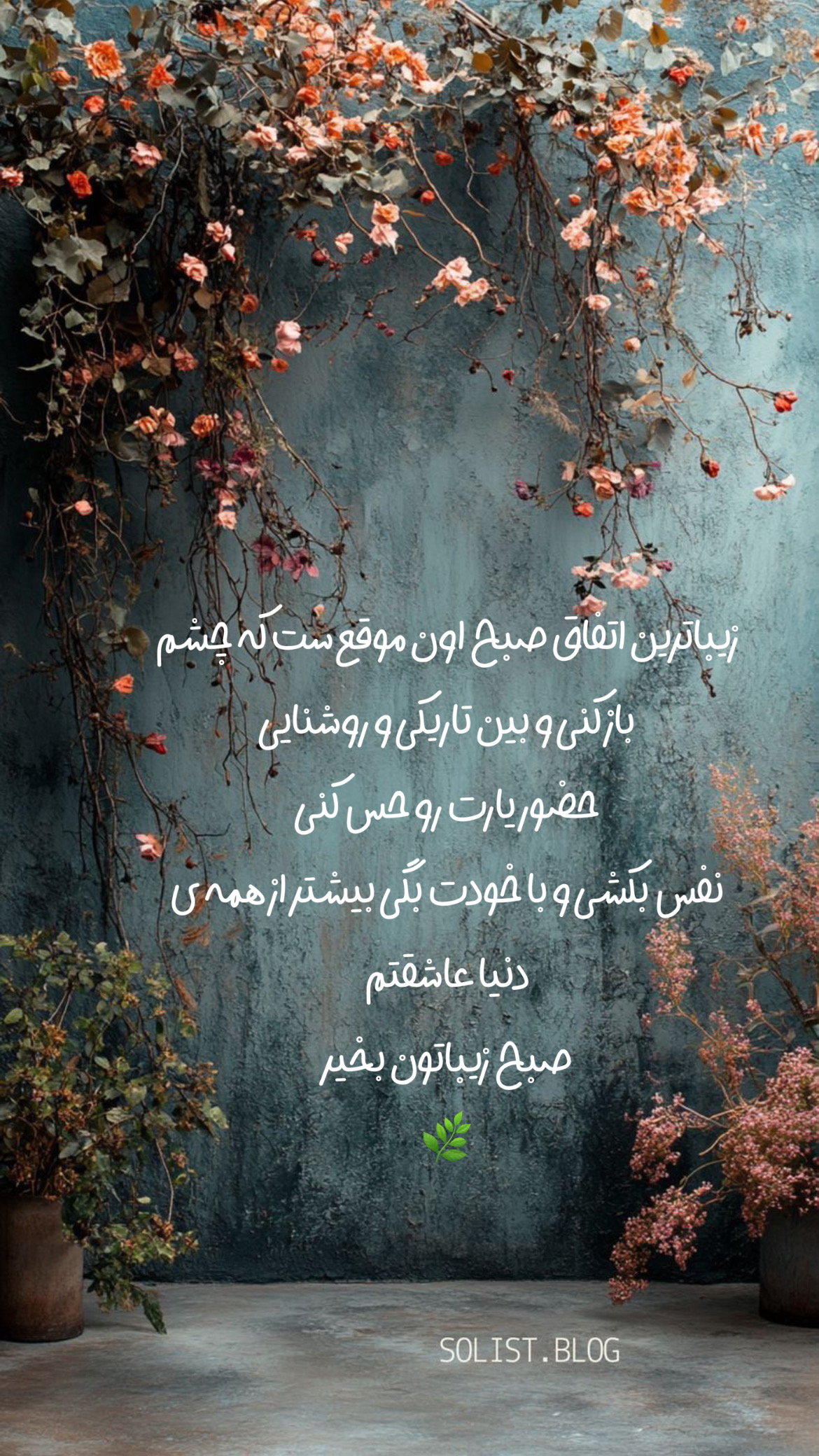 صبح بخیر294