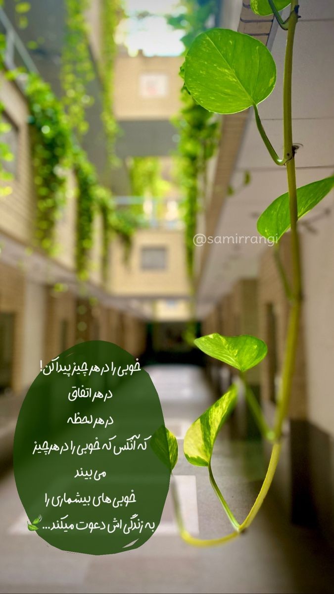 انگیزشی172