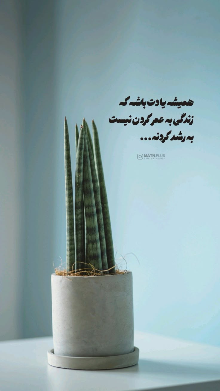 انگیزشی274
