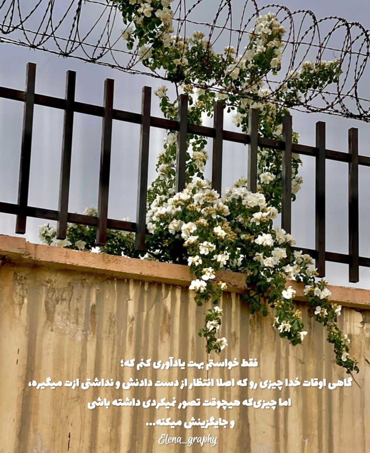 خدا41