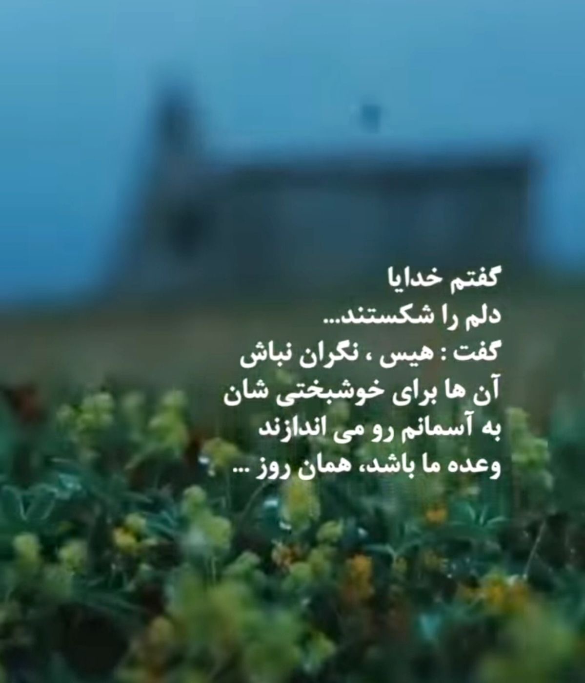 خدا40