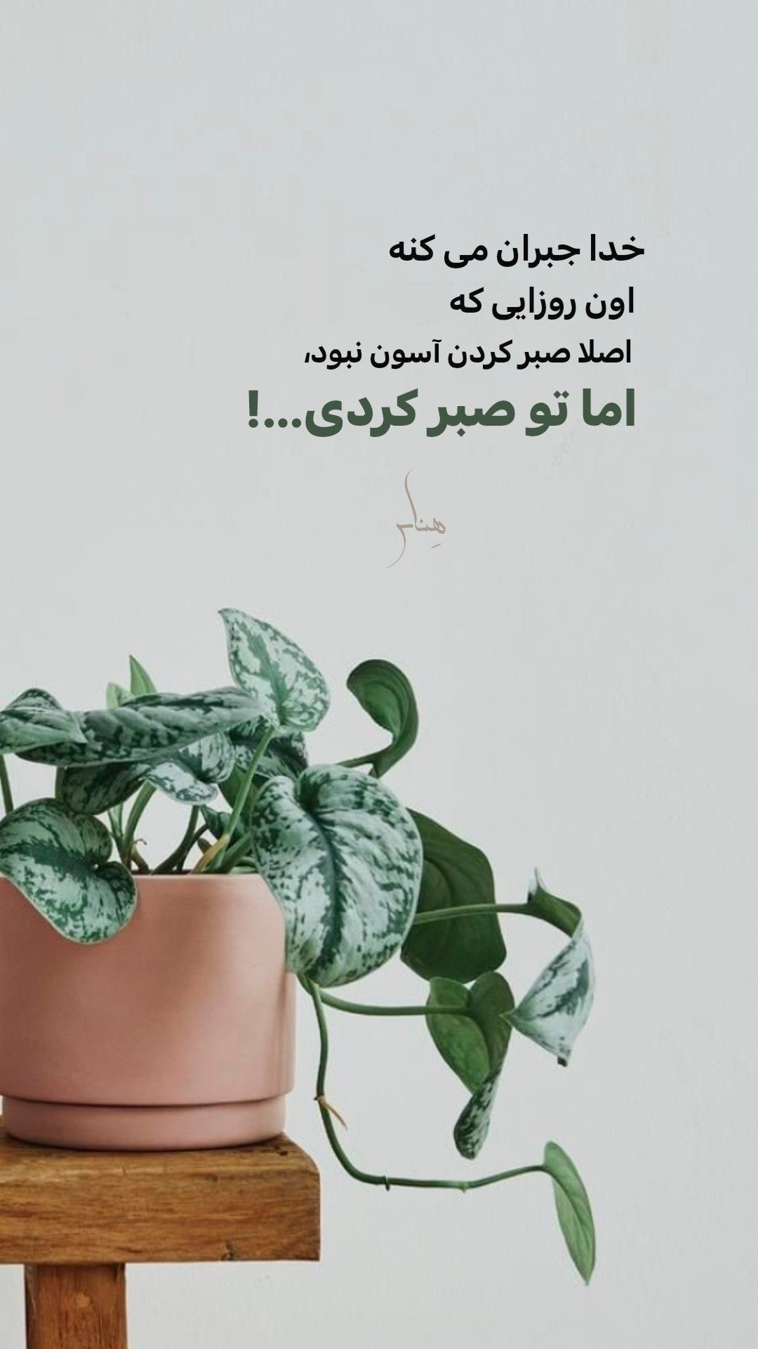 خدا35