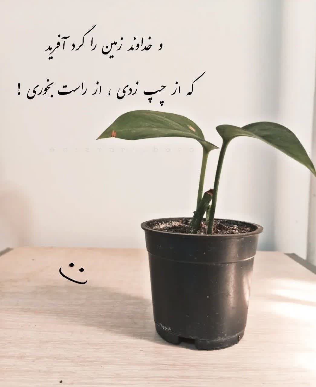 خدا37