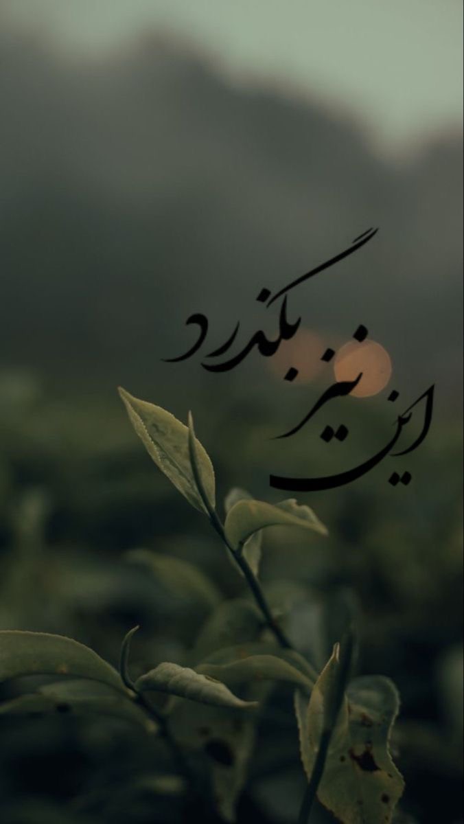 خدا43