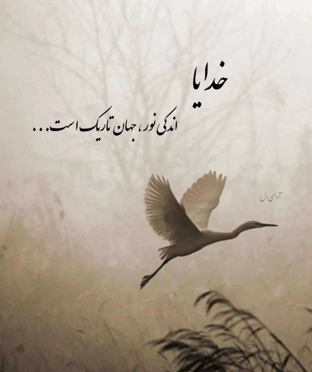 خدا42
