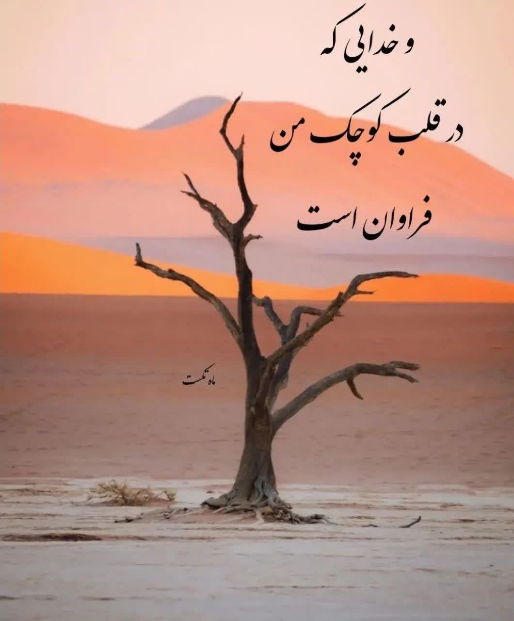خدا49