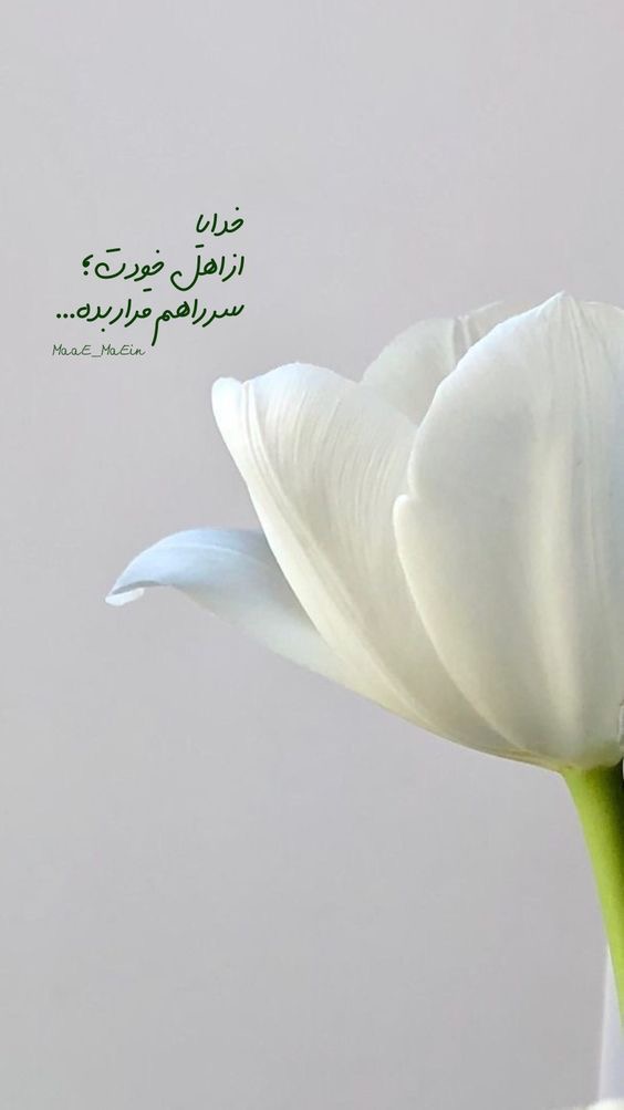 خدا46