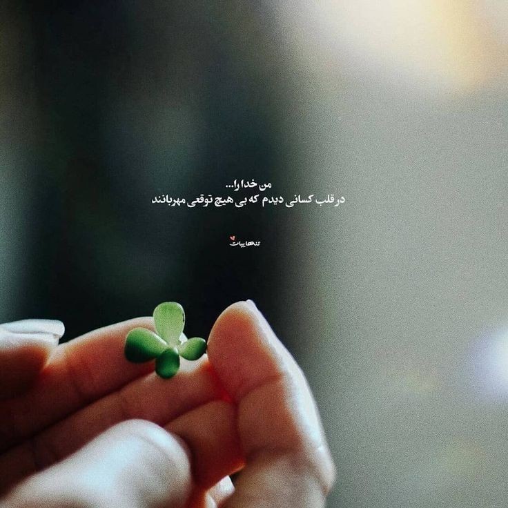 خدا26